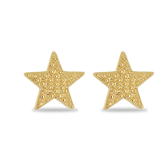 Pendientes de Plata Bañada en Oro