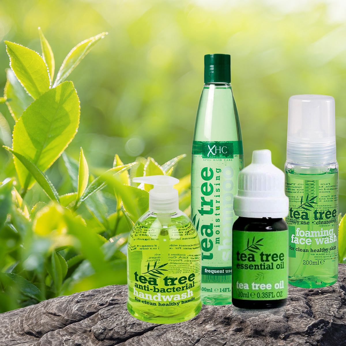 Acondicionador capilar con extracto de árbol de té - 400 ml