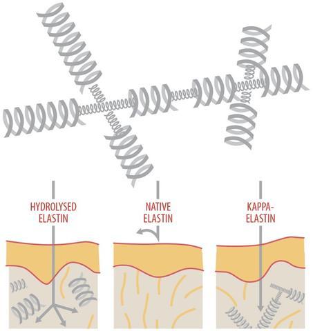 K'Derm Immediate Wrinkle Filler - Rellenador de Arrugas Inmediato K'Derm, 15 ml