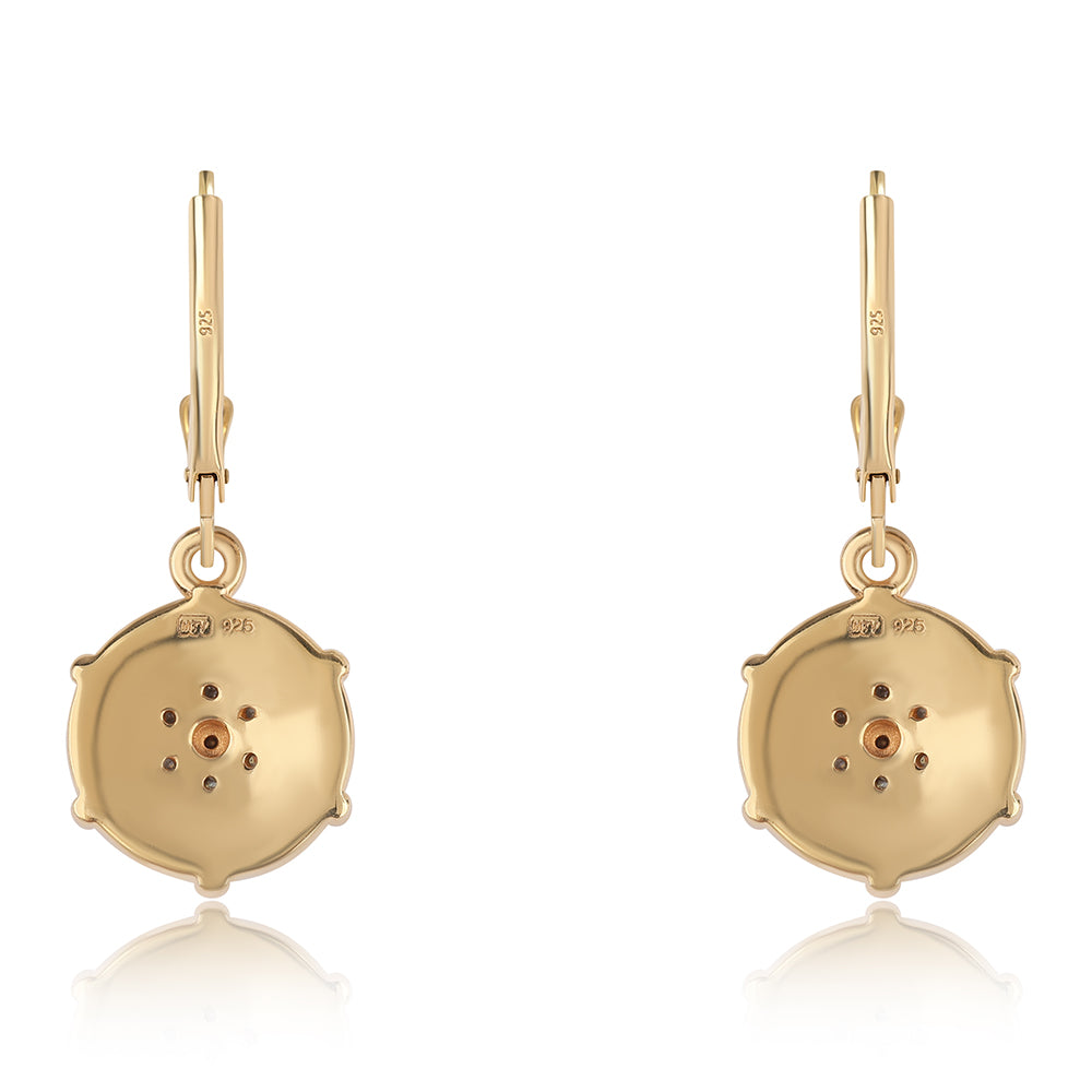 Pendientes de Plata Bañada en Oro con Diamante Rojo y Diamante blanco