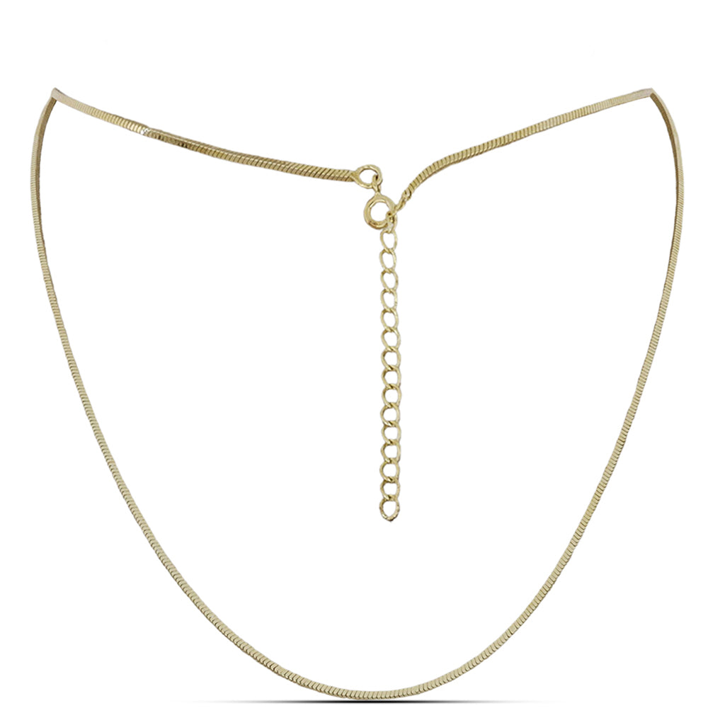 Cadena de Plata Bañada en Oro ( Collar ) 1 