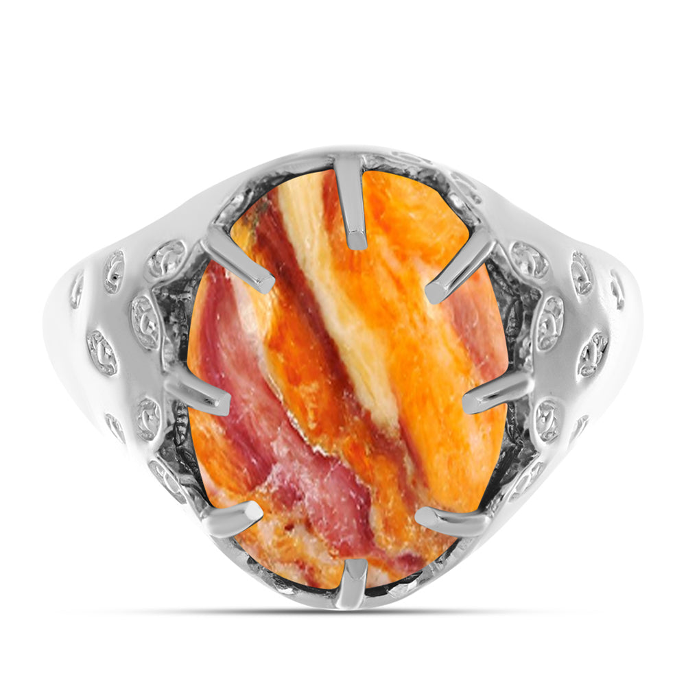 Anillo de Plata con Jaspe Garra de León 1 