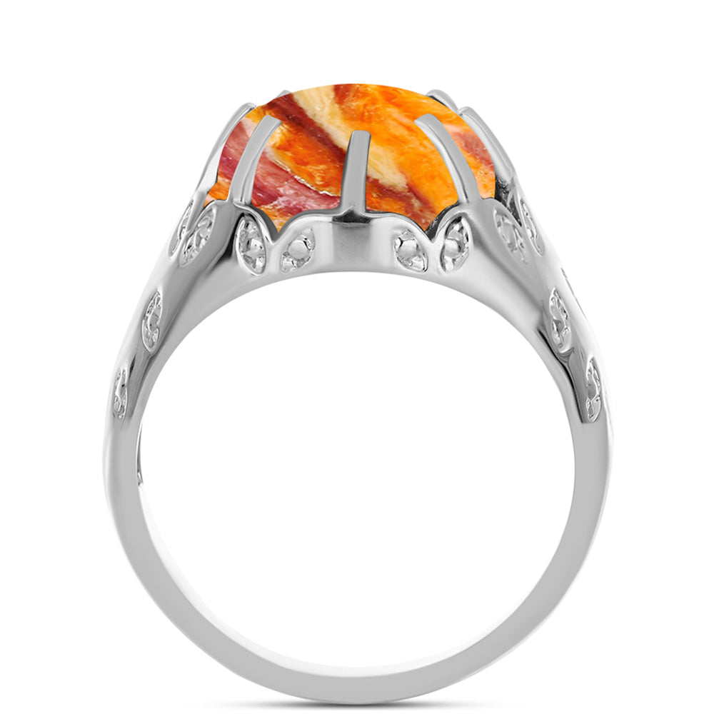 Anillo de Plata con Jaspe Garra de León 2 
