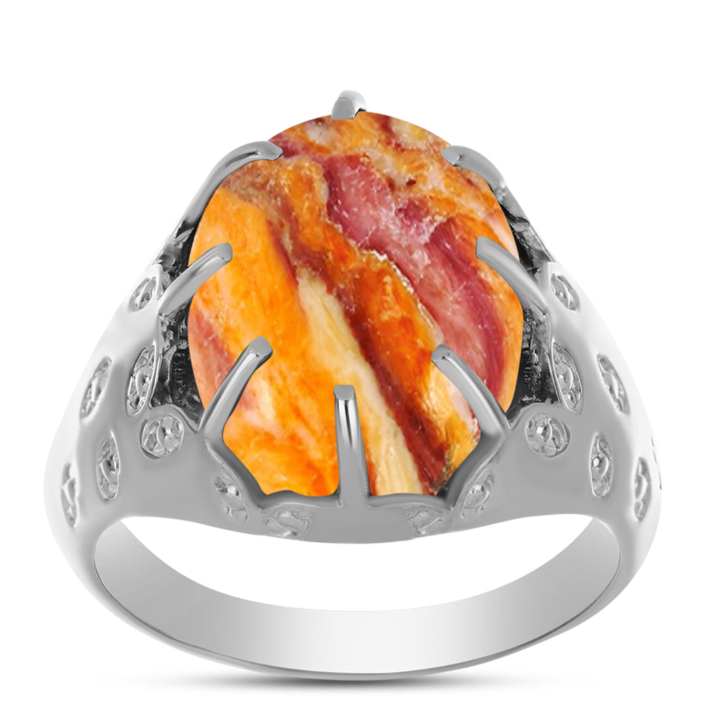 Anillo de Plata con Jaspe Garra de León 3 