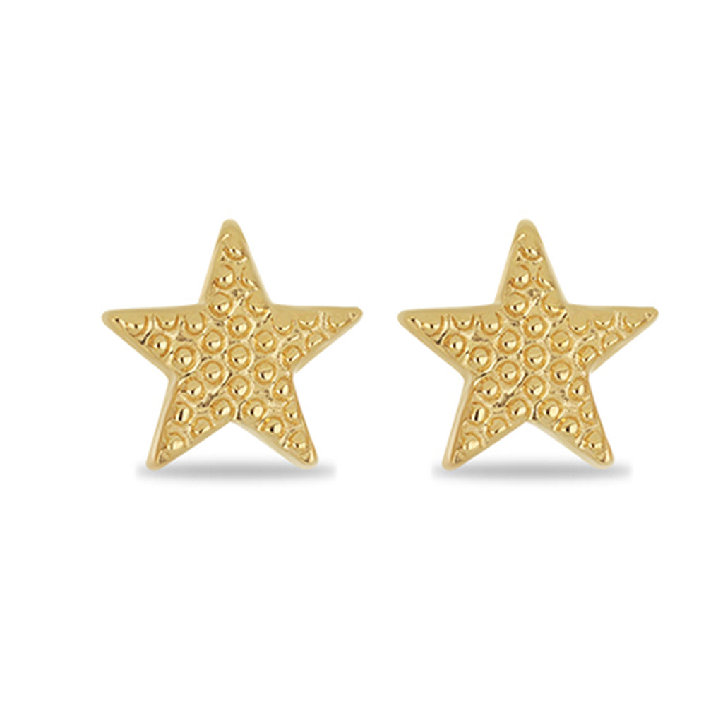 Pendientes de Plata Bañada en Oro 2 