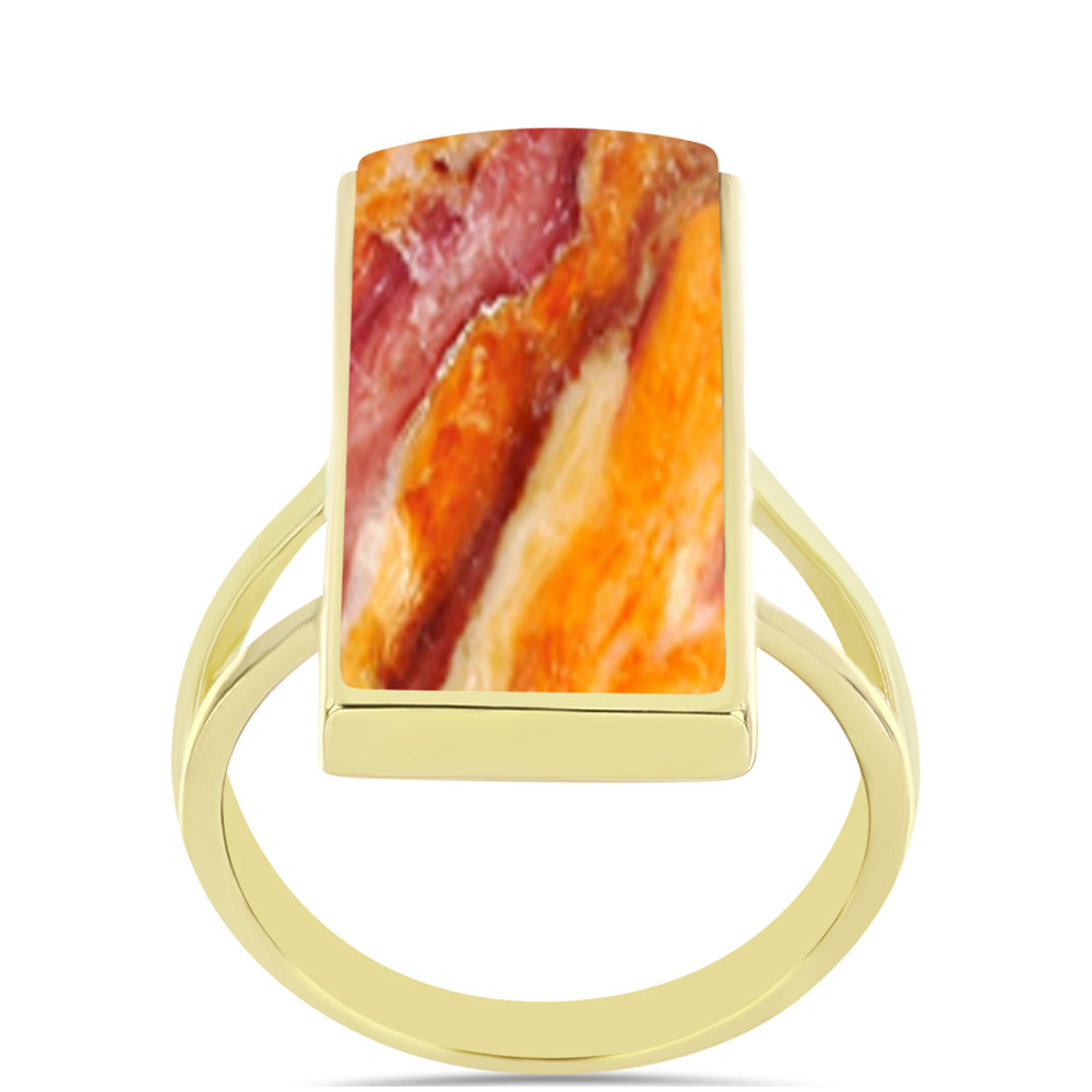 Anillo de Plata Bañada en Oro con Jaspe Garra de León