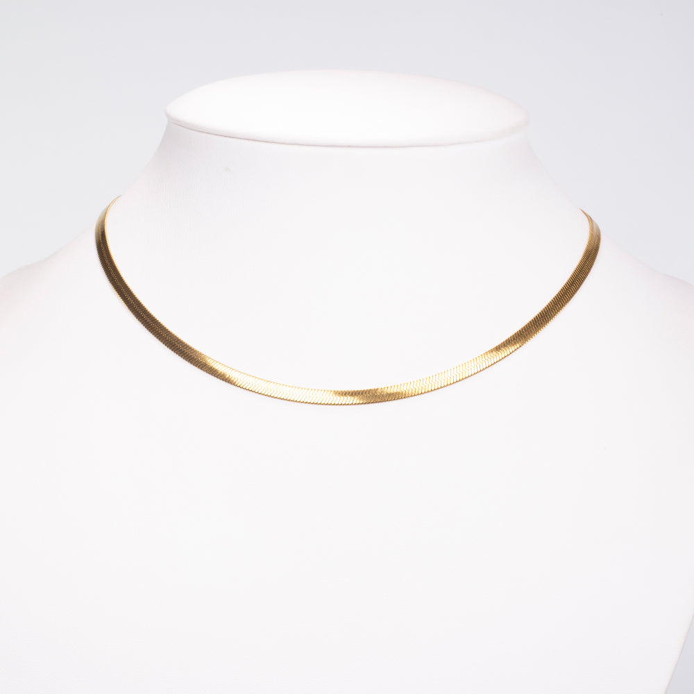 Collar Acero Inoxidable