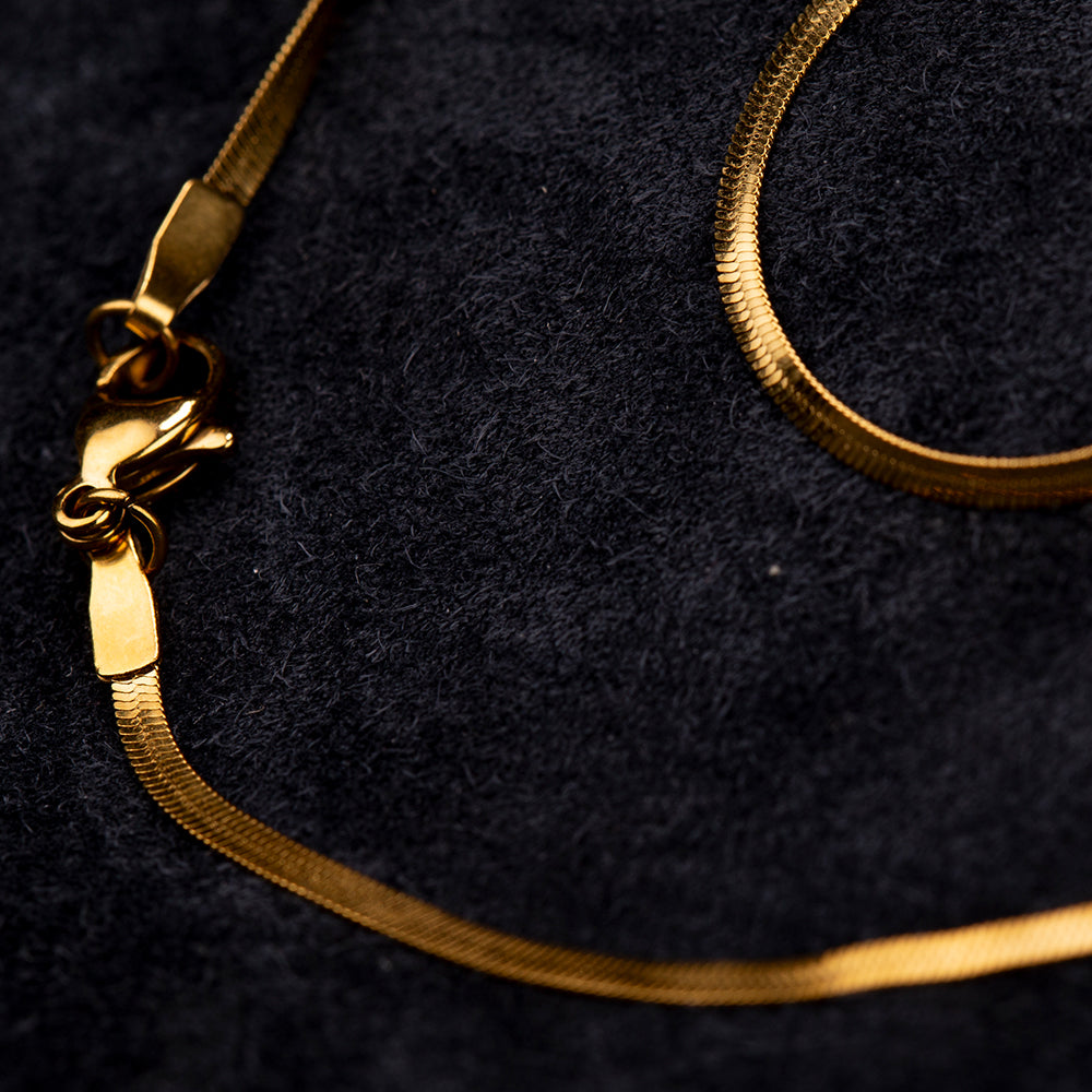 Collar Acero Inoxidable 1 