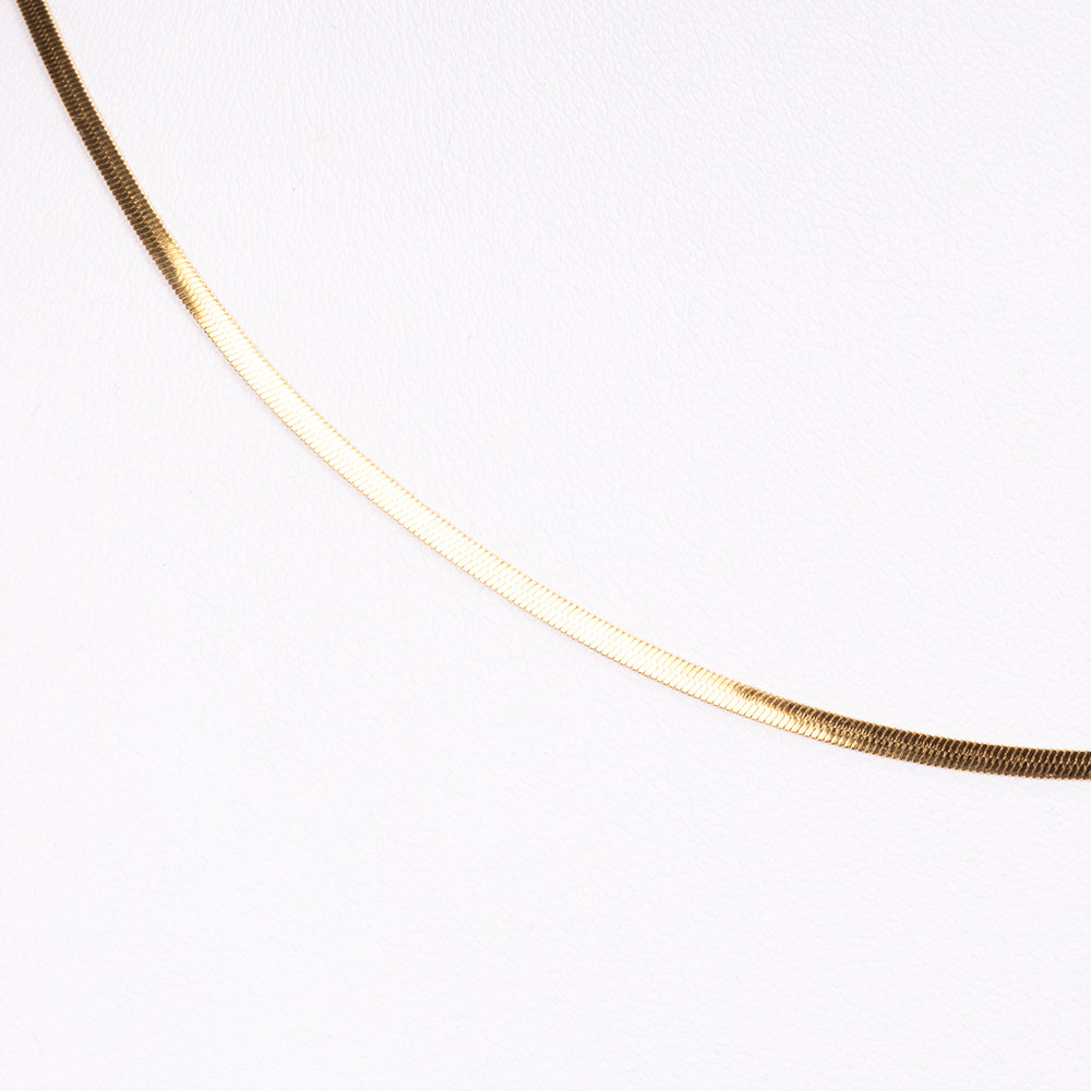 Collar Acero Inoxidable 3 