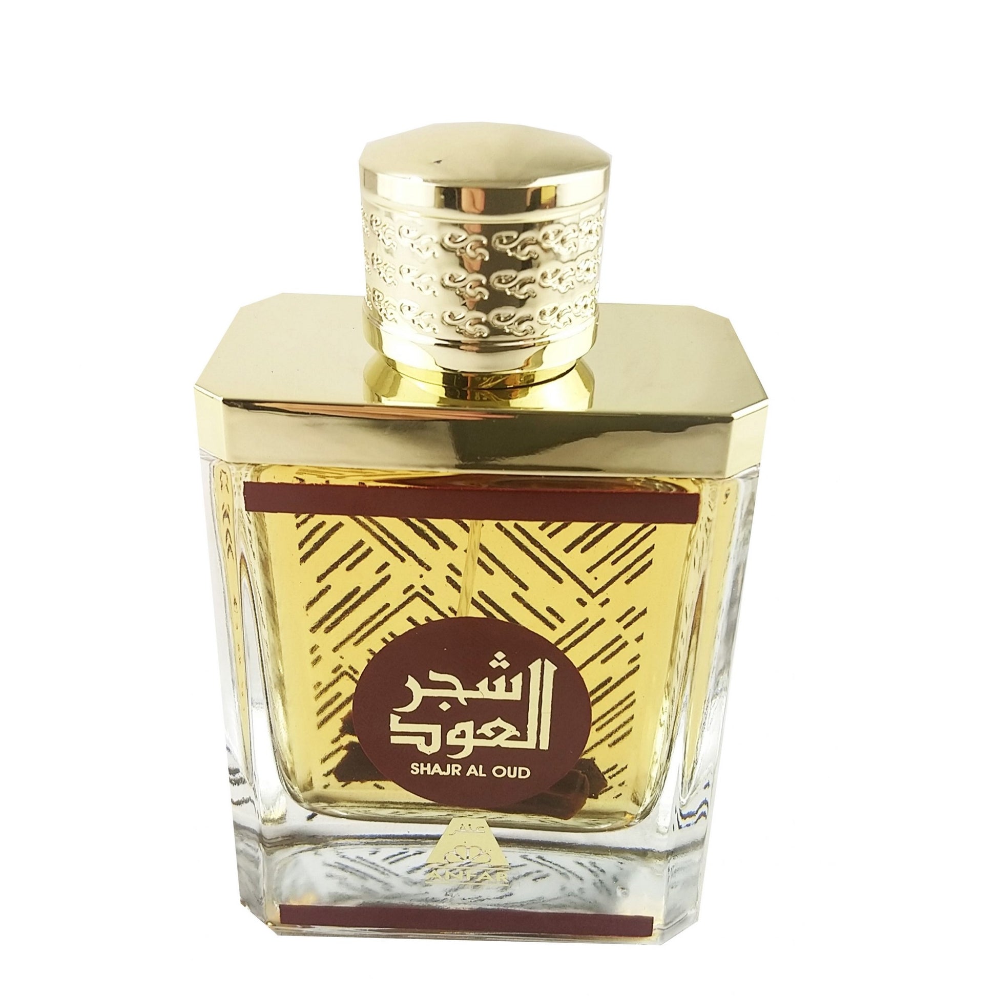 100 ml Eau de Parfum Shajr Al Oud Almizcle amaderado fragancia cítrica ligera para hombres 2 